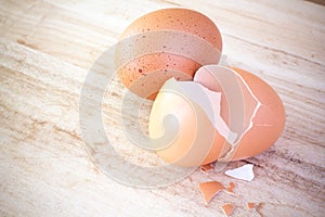 Egg