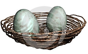 Egg