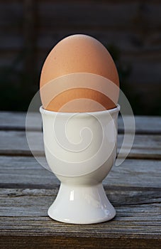 The egg