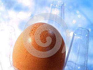 Egg