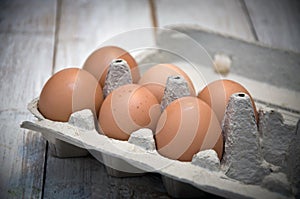 Egg