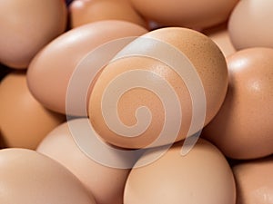Egg, background of fresh brown chicken eggs