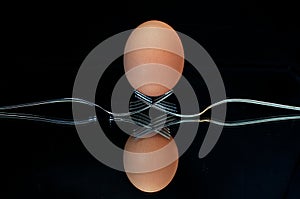 An egg balanced on two forks