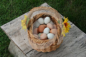 Egg baskets