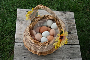 Egg baskets