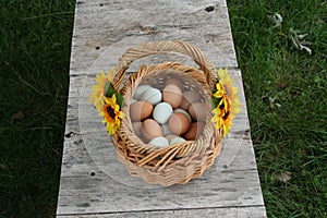 Egg baskets