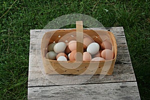 Egg baskets