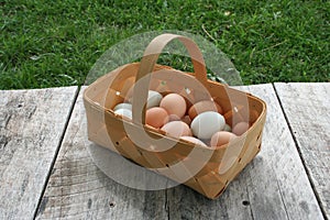 Egg baskets