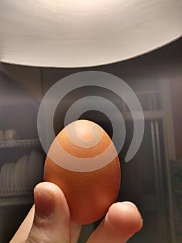 a 3am egg photo