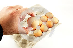 Egg being examined