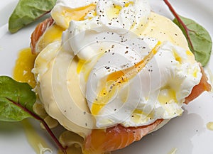 Egg Benedict