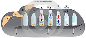 Egg in a Bottle Experiment Infographic Diagram