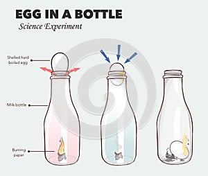 Egg in a bottle science experiment vector illustration