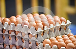 egg in box Fresh eggs packaging on tray from chicken farm