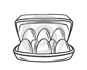 Egg box with six chicken eggs