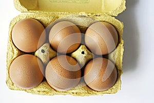 Egg box with six eggs
