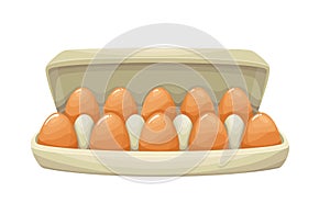 Egg box with ten brown chicken eggs