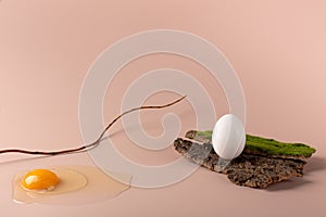 The egg is broken on a delicate pink background. A whole egg on the bark of a tree.