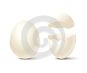 Egg and broken empty eggshell isolated on white background. Vector realistic design element.