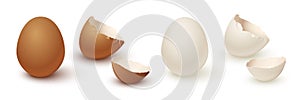 Egg and broken empty eggshell isolated on white background. Vector realistic white and brown eggs.