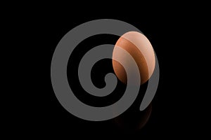 Egg, Brown Egg Standing Vertically isolated on black background, copy space
