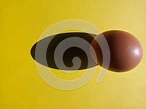 an egg that is brown and ready to be consumed photo