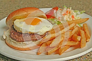 Egg Burger combo of fries and coleslaw