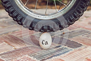 Egg - calcium, under the heavy wheel of a bicycle does not break