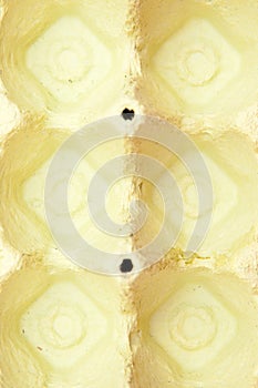 Egg cartboard box shapes