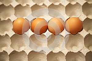 Egg carton with 4 eggs