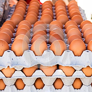 Egg in carton box package