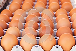 Egg in carton box package