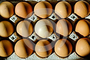 Egg carton close-up
