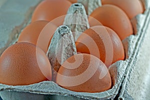 Egg carton with fresh brown eggs