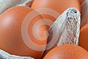 Egg carton with fresh brown eggs