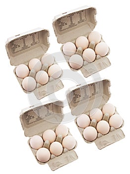 Egg Cartons photo