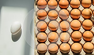 The egg cassette contains eggs with brown shells