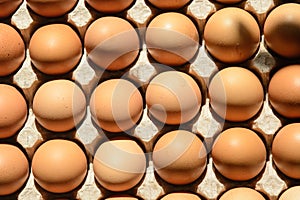 The egg cassette contains eggs with brown shells