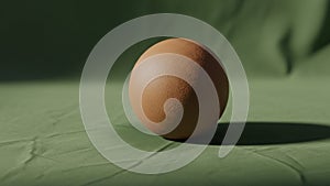 The egg casts a soft shadow indicating a light source from the side