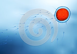 Egg cell in red and sperms moving towards it on blue background