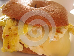 Egg and cheese bagel for breakfast