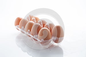 Egg, Chicken Egg pack