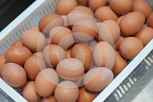 Egg, Chicken Egg in white plastic basket