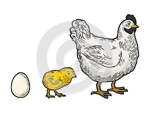 Egg chicken and hen sketch vector illustration