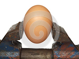 Egg is clamped in the old vice