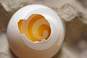 Egg concept. Craked egg in a box. Macro food shot.