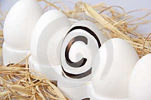 Egg With Copyright Sign