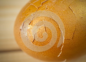 Egg with cracked thin shell showing irregular break pattern