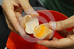 Egg cracking