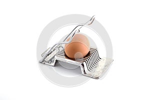 Egg cutter